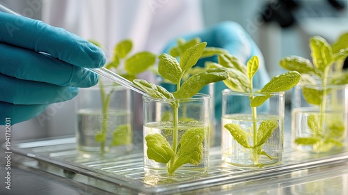 Wallpaper Mural A scientist in a white lab coat and blue gloves carefully examines young plant seedlings in test tubes. Torontodigital.ca