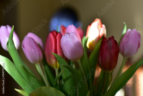bukiet tulipanów w wazonie © Piotr