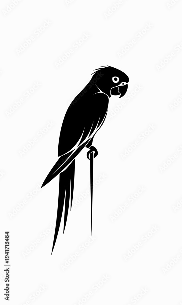 Fototapeta premium Black parrot silhouette vector illustration on white background isolated
