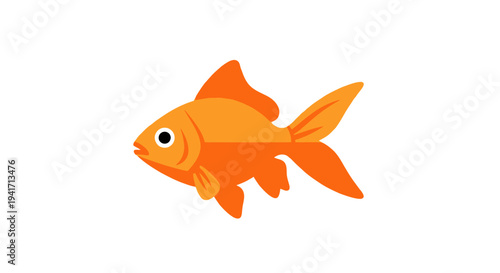 Vibrant orange fish illustration against white background for design