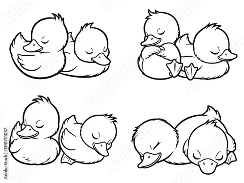 a charming black and white illustration depicts several adorable ducklings peacefully sleeping and cuddling together in various arrangements high quality professional