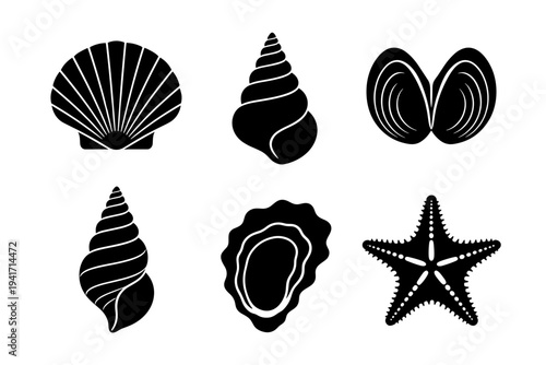 Collection of marine life and seashells silhouettes including various ocean shells and starfish for summer holiday and underwater nature designs