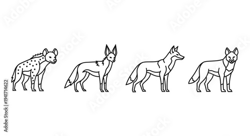 Four distinct wild canids standing in a row, showcasing different species.