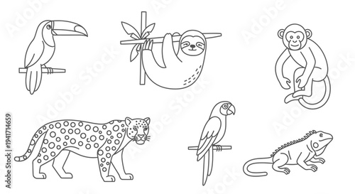 Outline drawings of various Amazon rainforest animals including a toucan, sloth, monkey, jaguar, parrot, and iguana.