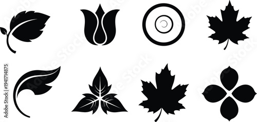 Collection of Eight Black Silhouette Botanical and Abstract Icons leaf leaves