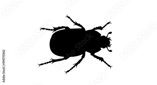 Black Silhouette of a Beetle on White Background