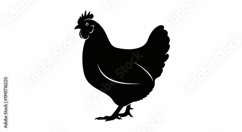 Black silhouette of a hen standing on a white background, farm animal illustration