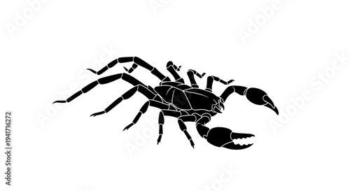 Scorpion Silhouette Vector Illustration - Black Insect Graphic on White Background