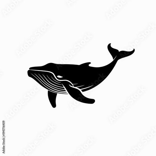 Black and white whale illustration on white background vector design
