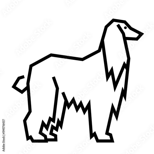 Afghan Hound