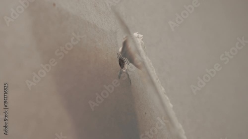 plasterer putting plaster on screw hole in plasterboard wall using spatula