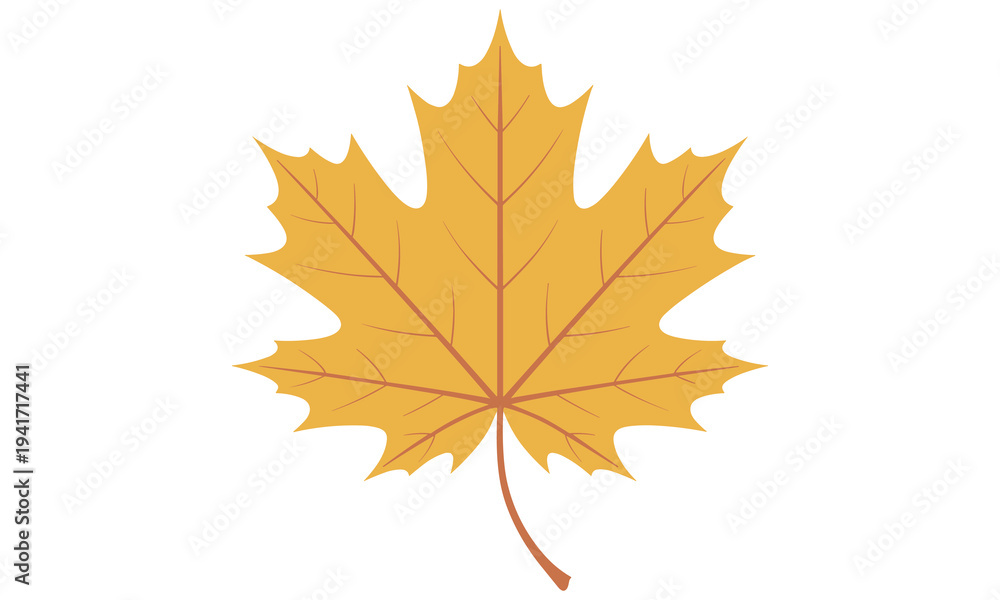 Fototapeta premium Vibrant yellow maple leaf with distinctive red veins and stem on a clean white background symbolizing autumn season with its characteristic foliage.