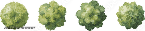 Top view of green trees or bushes for architectural landscape plans and designs