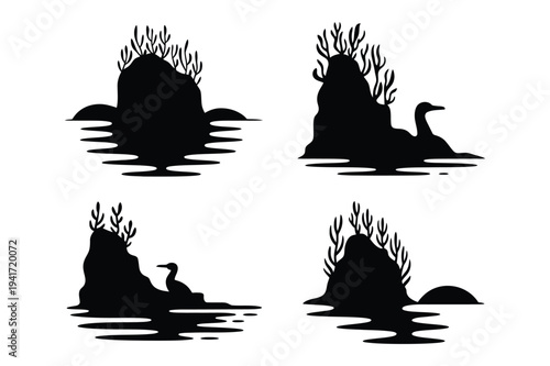 Bird silhouette on rock with water reflection vector
