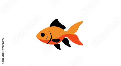 Orange goldfish vector illustration isolated on white background for design