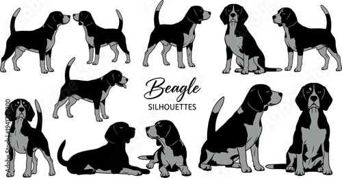 Beagle Dog Silhouettes Set, Purebred Hound Poses Collection in Black and Grey, Hunting Dog Vector Illustrations for Pet Design Projects