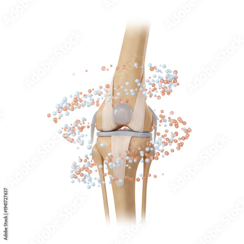 Hyper-detailed 3d rendering of the human knee joint, showing bone, translucent cartilage, and taut ligaments. dynamic calcium and collagen spheres surround the structure, symbolizing orthopedic