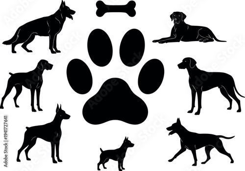 Black and white family silhouette set with people walking children pushing strollers and riding bicycles isolated on white background for design