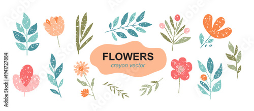 Flower crayon doodle, cute spring pastel plant. Watercolor kid hand draw nature, color chalk garden. Floral pencil pattern. Sketch simple flower set isolated on white background. Vector illustration