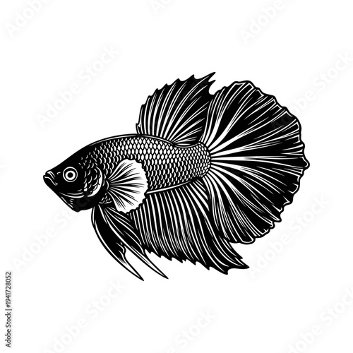 A black and white drawing of a betta fish