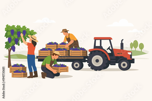 Farmers Harvesting Grapes in Vineyard, Workers Picking Purple Grapes and Loading Wooden Crates onto a Red Tractor Trailer, Agricultural Harvest Season, Flat Vector Illustration of Farm Life