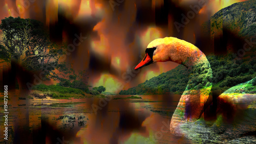Swan and Loch Brora in the Highlands