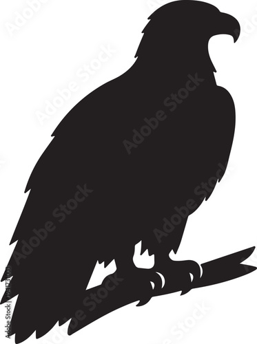 Bald eagle silhouette perched on branch isolated on transparent background hawk vector illustration for national pride emblems wildlife conservation graphics raptor bird study and outdoor designs