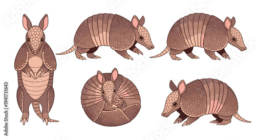 Six cartoon armadillos are depicted in various poses, including standing, walking, and curled up, against a plain white background.