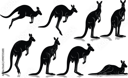 Kangaroo silhouette set showcasing multiple poses including jumping, standing, and resting, isolated black vector collection on white background illustration
