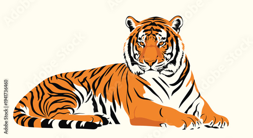 A majestic and powerful Bengal tiger with beautiful orange and black stripes lies down in a calm and watchful pose.