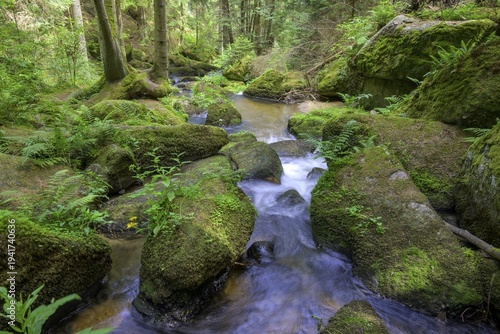 Lohnbachfall, Pretrobruck, Rappottenstein, Lower Austria, Austria