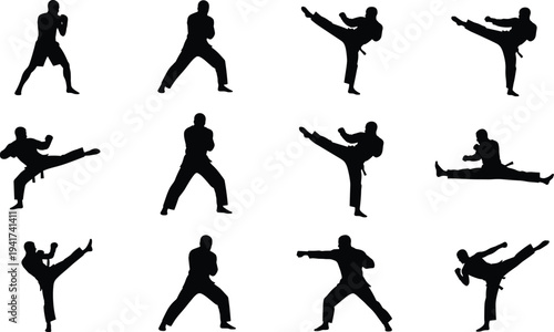 Dynamic martial arts silhouettes showcasing diverse karate and taekwondo poses, powerful kicks, punches, and stances, perfect for fitness, training, combat sports, and self-defense illustration 