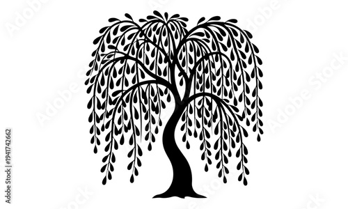 Black Silhouette of a Weeping Willow Tree on White Background