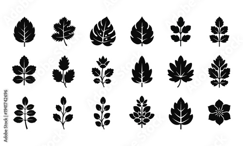 Set of minimalist black leaf and plant silhouette icons