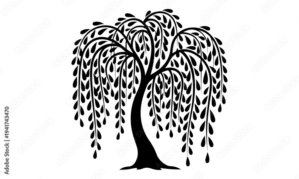 Fototapeta premium Stylized Black Weeping Willow Tree Silhouette on White