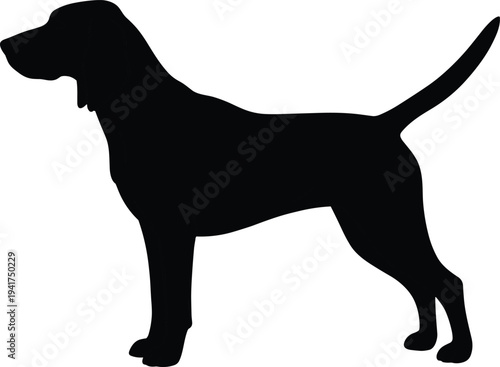 Black silhouettes set of a diverse multi generation family including grandparents parents and children standing together isolated on white background for life cycle concepts