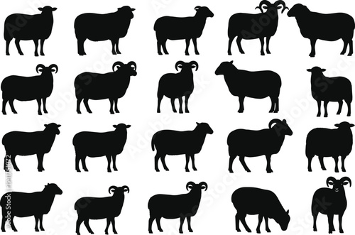 Set of sheep and ram silhouettes collection featuring various farm animals in standing poses isolated on white background vector illustration