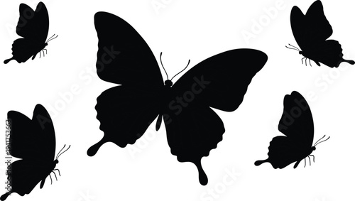 Black butterfly silhouettes set featuring various flying insects with detailed wings isolated on white background for nature beauty spring garden and wedding design projects