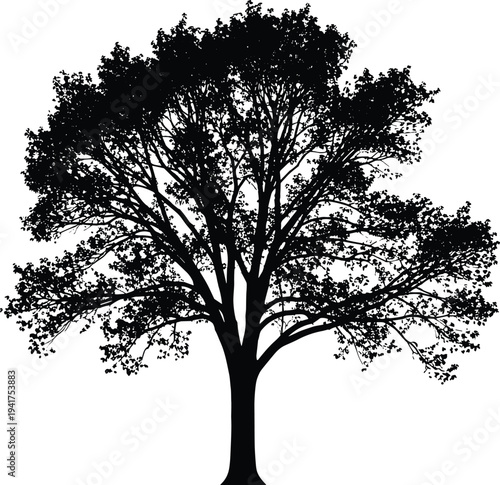 Black profile silhouette of a young African American boy head and shoulders view isolated on white background for childhood identity and diversity concepts