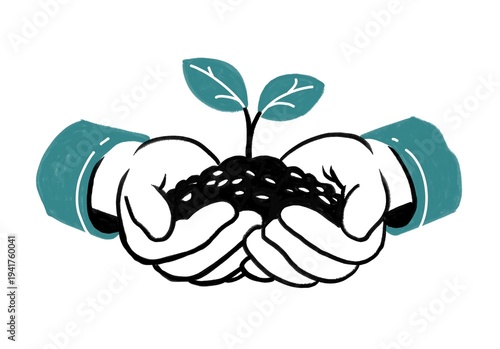 Photos Manos de persona sosteniendo una plantita nueva