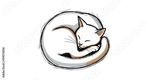 Adorable white cat curled up sleeping peacefully.