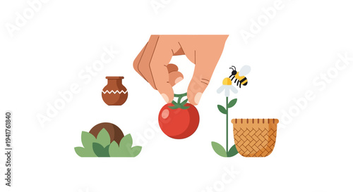 Hand Picking Tomato Illustration. Organic Farming, Harvest Season, Fresh Vegetables, Bee Pollination, and Garden Elements Vector Graphic.
