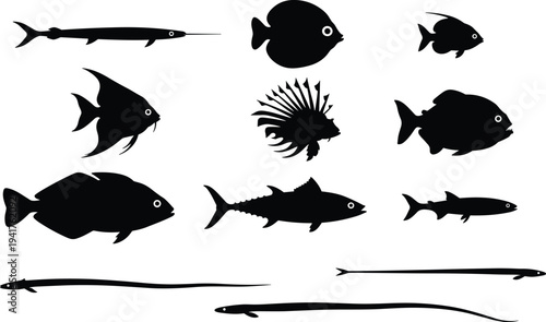 Silhouettes of diverse fish species arranged in grid pattern showcasing aquatic biodiversity, marine biology illustration, underwater wildlife shapes, 