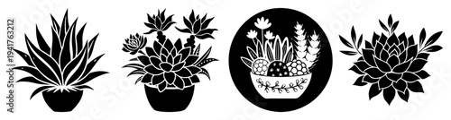Black and white minimalist cactus plants in decorative pots isolated on white background vector illustration