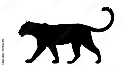 Black panther silhouette walking gracefully across the frame.