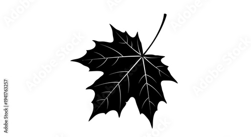 Black maple leaf silhouette on white background.