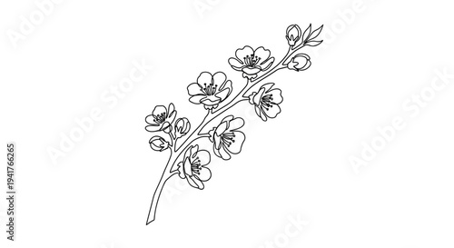 Delicate Blossom Branch Line Art - Minimalist Floral Outline Vector