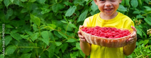 Little boy in a straw hat holding a basket of ripe raspberries in the garden.
