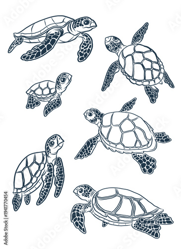 Set of cartoon line turtles on the white background. Vector illustration with collection of sea turtles with different pose.