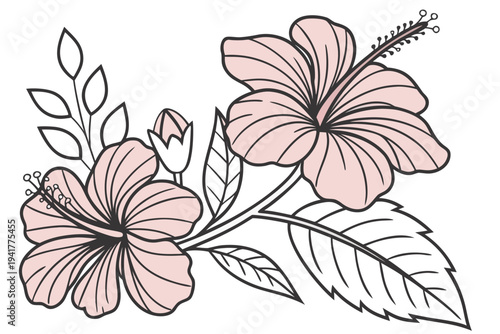 Cuadro en lienzo coloring page line art the hibiscus flower black vector